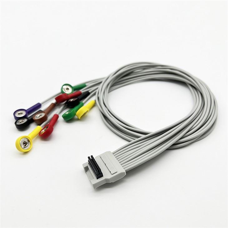 Biolight BTL-08 3/5 Leads ECG Holter Cable